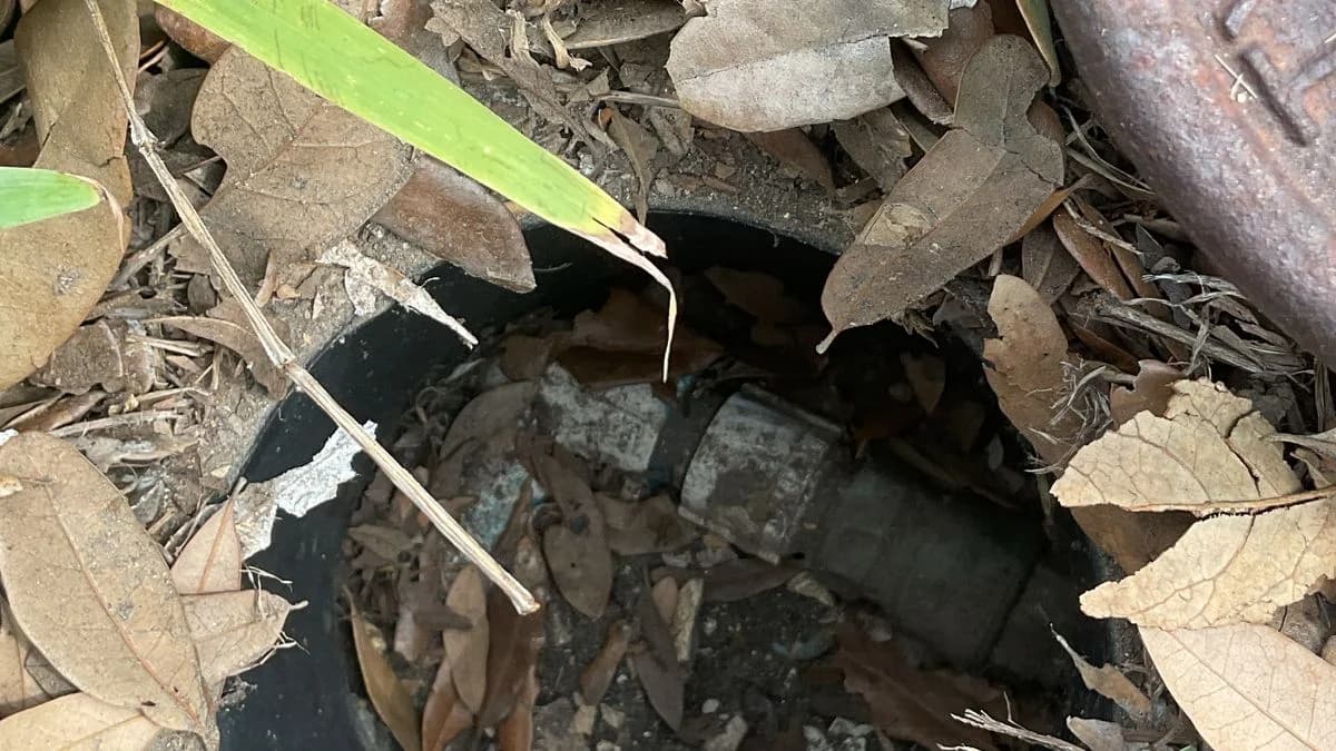 Featured image for: 3 Steps to Drain Restoration