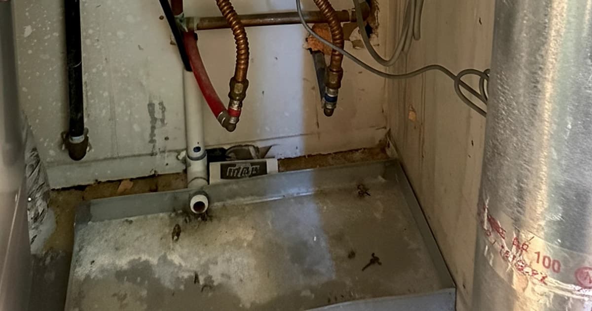 Common Water Heater Problems in Austin