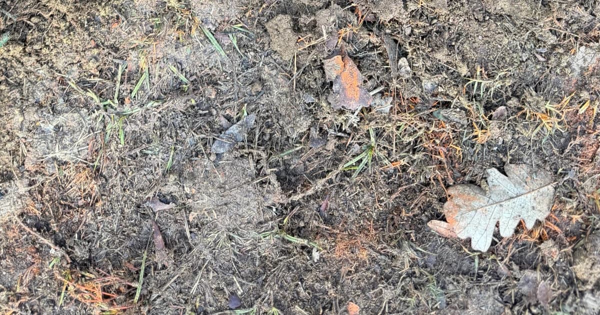 Detecting Urgent Underground Leak Signs in Austin