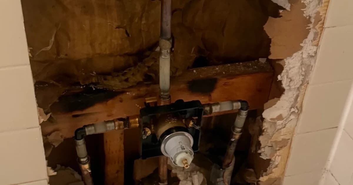 How Hard Water Affects Your Austin Plumbing and What You Can Do