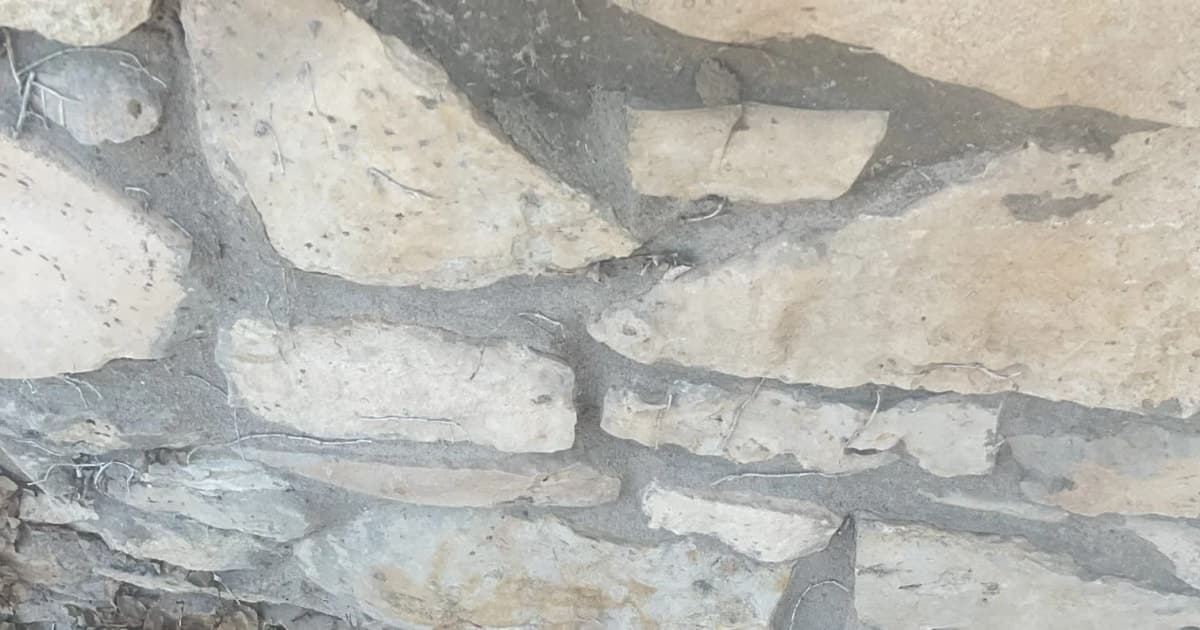Dealing with Outdoor Pipe Leaks in Austin's Harsh Climate
