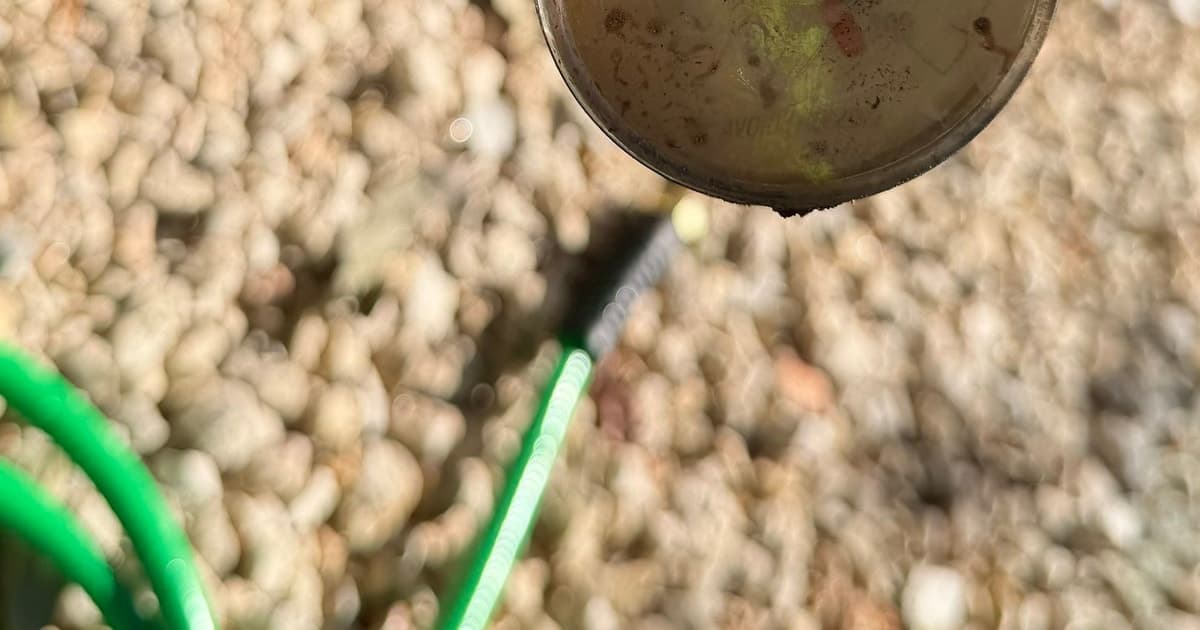 Preventing Tree Root Invasion in Your Austin Pipes