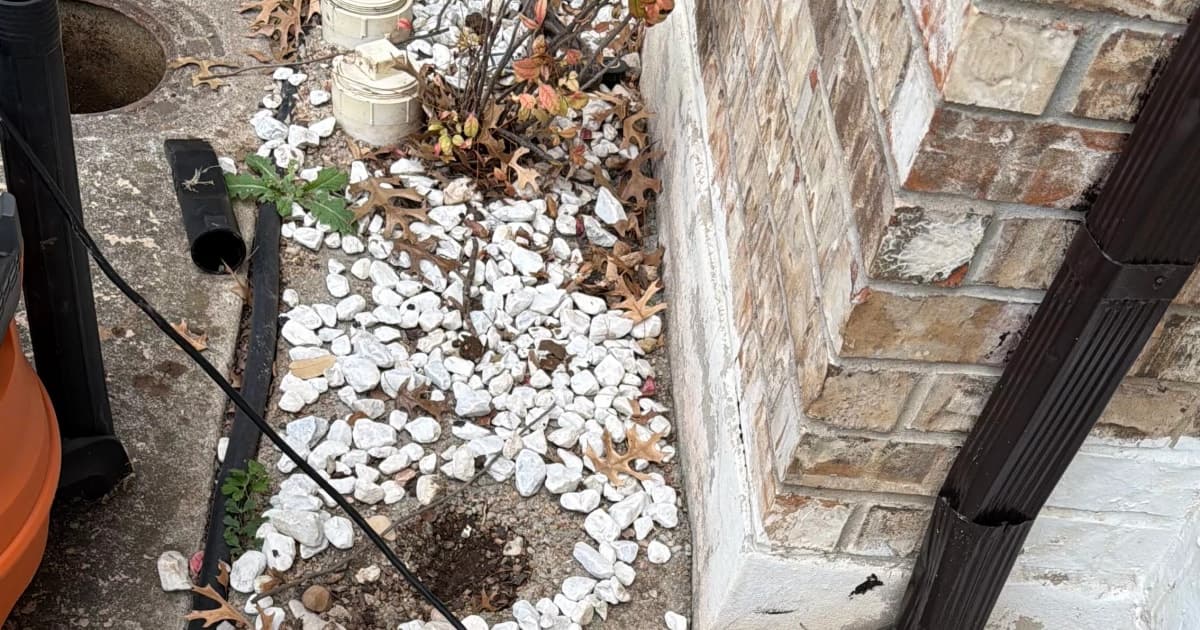 Unclogged: Tackling Common Drain Issues