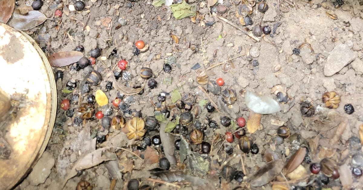 Tackling Drainage Problems: Expert Tips
