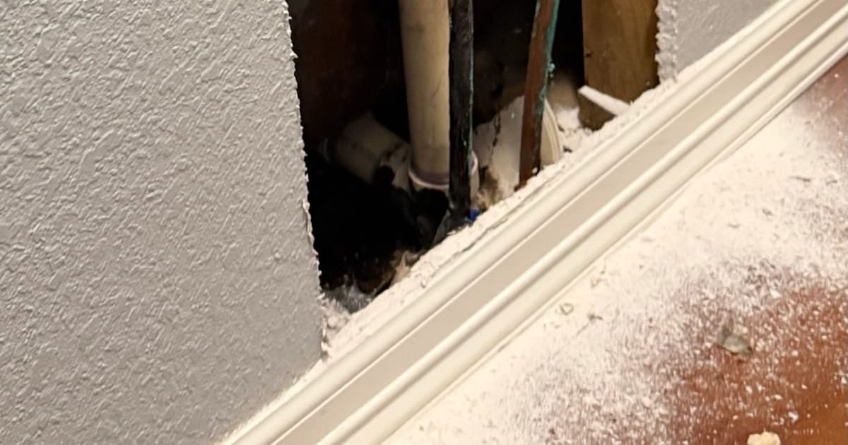 The Importance of Slab Leak Repair for Your Home or Business