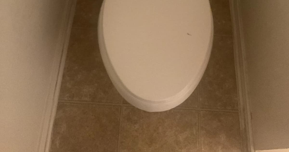 How to Know When It's Time for a Toilet Upgrade in Austin Homes