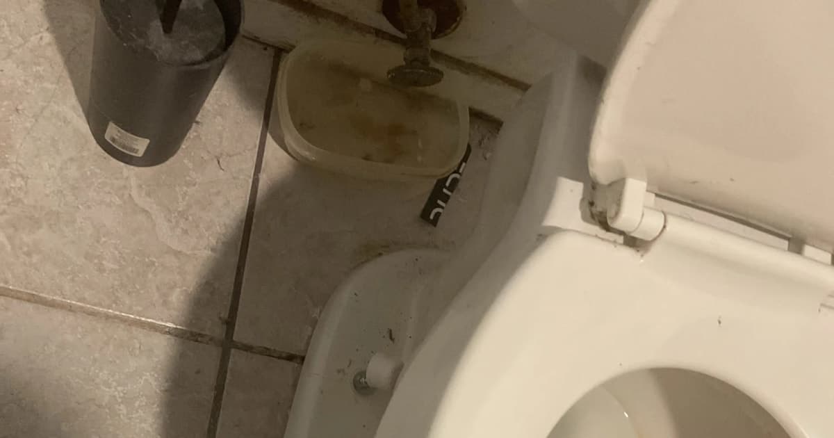 Troubleshooting Toilet Troubles: Common Issues and Fixes for Austin Homes